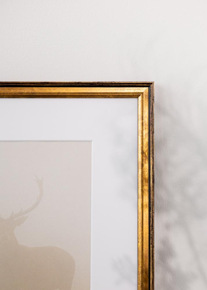 Rám Ringa Akrylátové sklo Zlatá 29,7x42 cm (A3)