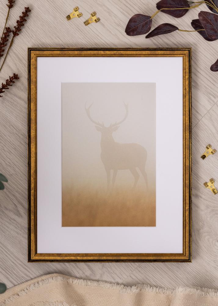 Rám Ringa Akrylátové sklo Zlatá 29,7x42 cm (A3)