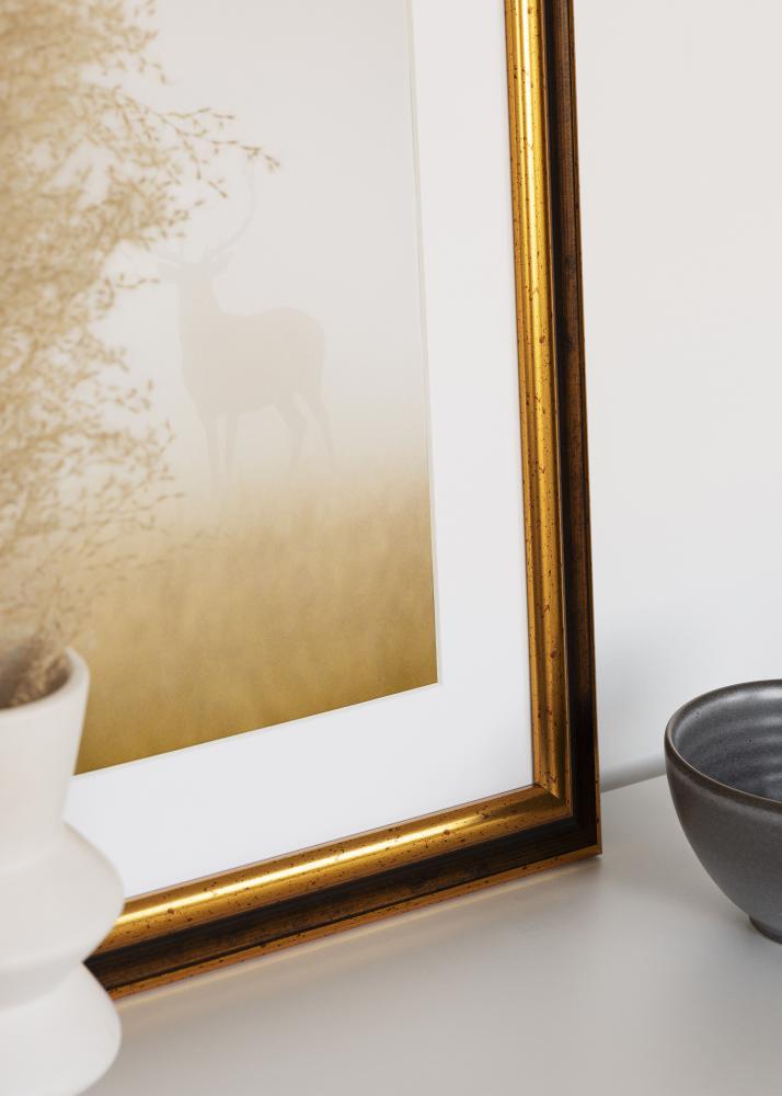 Rám Aberystwyth Akrylové sklo Zlatá 50x70 cm