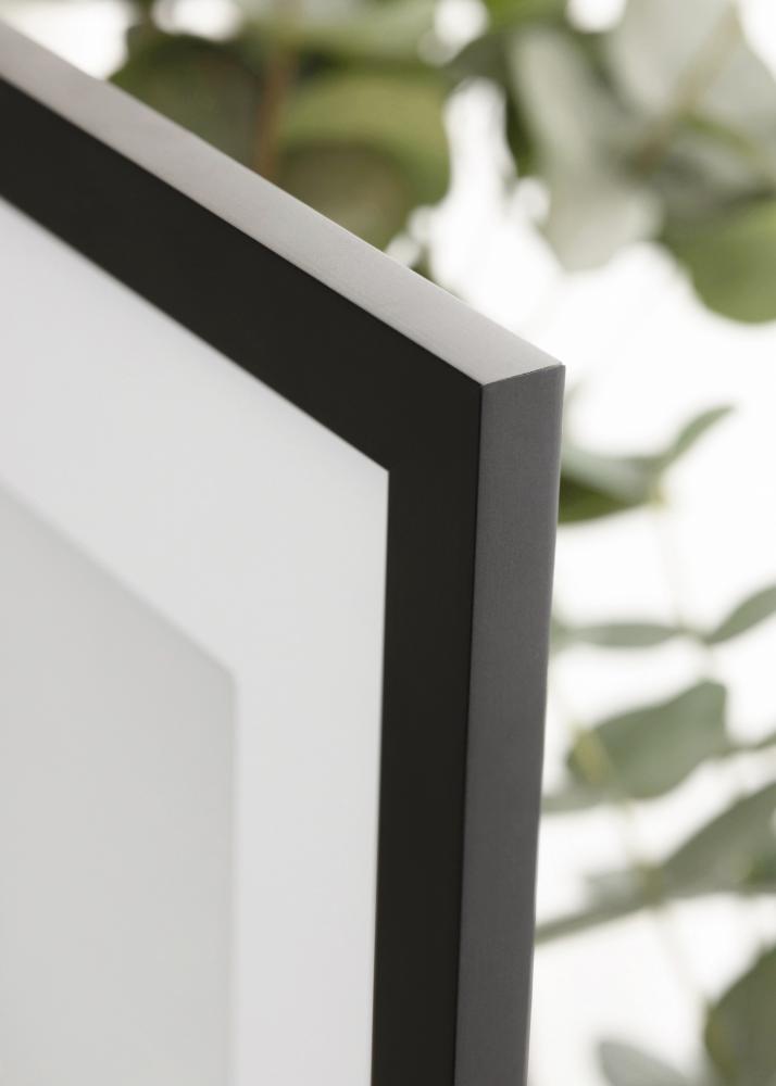 Rám Jämtland Akrylové sklo Čierna 25x60 cm