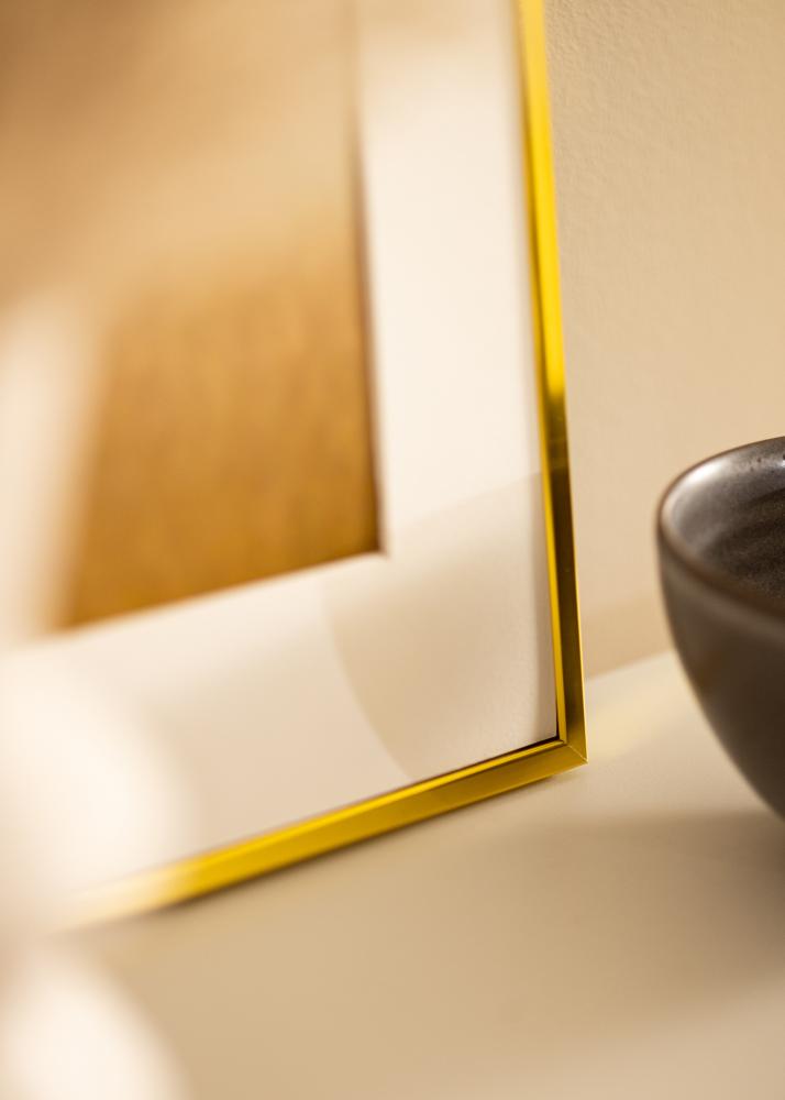 Hliníkový rám Akrylové sklo Zlatá 61x91,5 cm