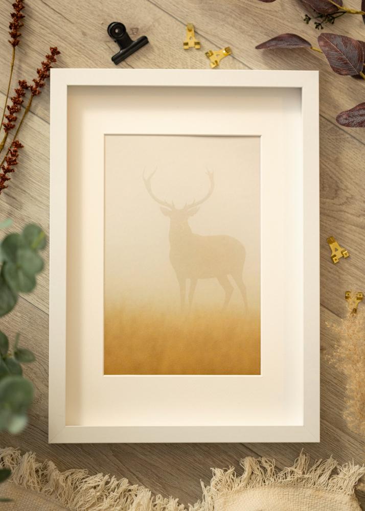 BGA rám krabice Biela 50x70 cm - Pasparty Biela 40x60 cm