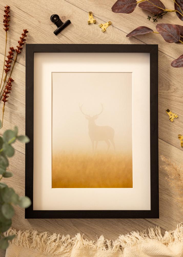 BGA rám krabice Čierna 30x45 cm - Pasparty Biela 8x14 inches