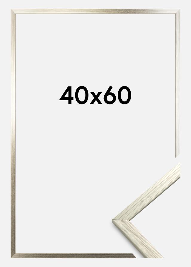 Rám Edsbyn Akrylové sklo Strieborná 40x60 cm