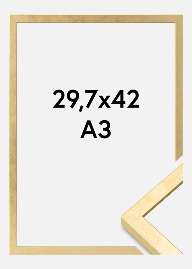 Rám Ares Akrylové sklo Zlatá 29,7x42 cm (A3)