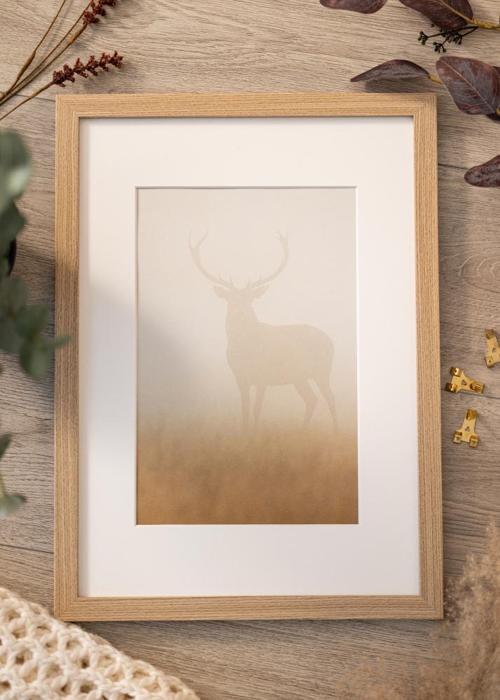 Rám Deco Akrylové sklo Dub 21x29.7 cm (A4)