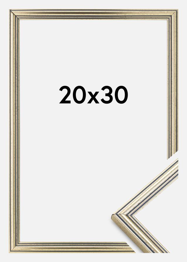 Rám Classic Strieborná 20x30 cm