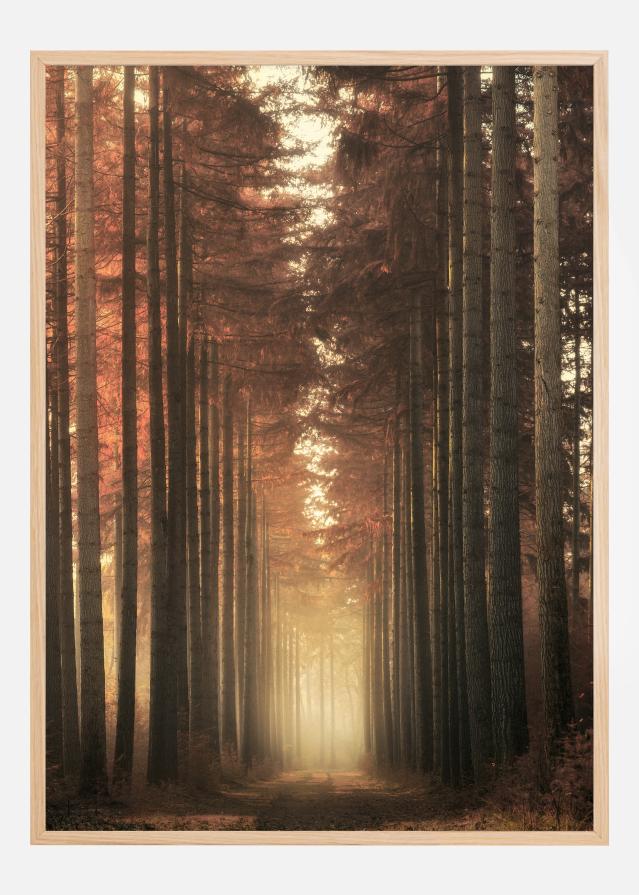 Light Burning Plagát