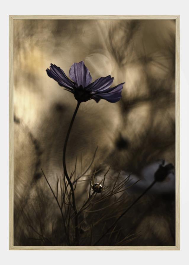 The Dancing Queen Plagát