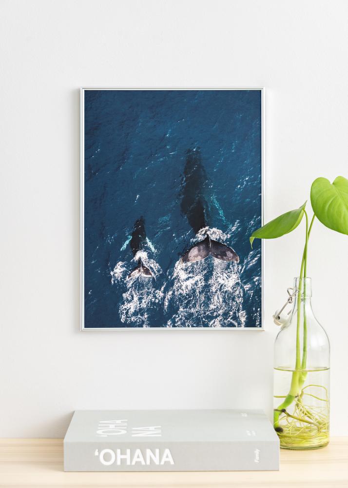 Rám Can-Can Strieborná 40x60 cm