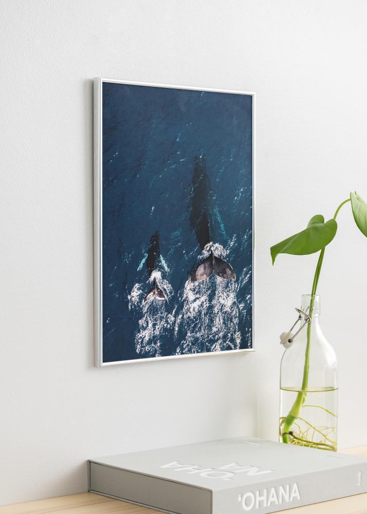 Rám Can-Can Strieborná 40x60 cm