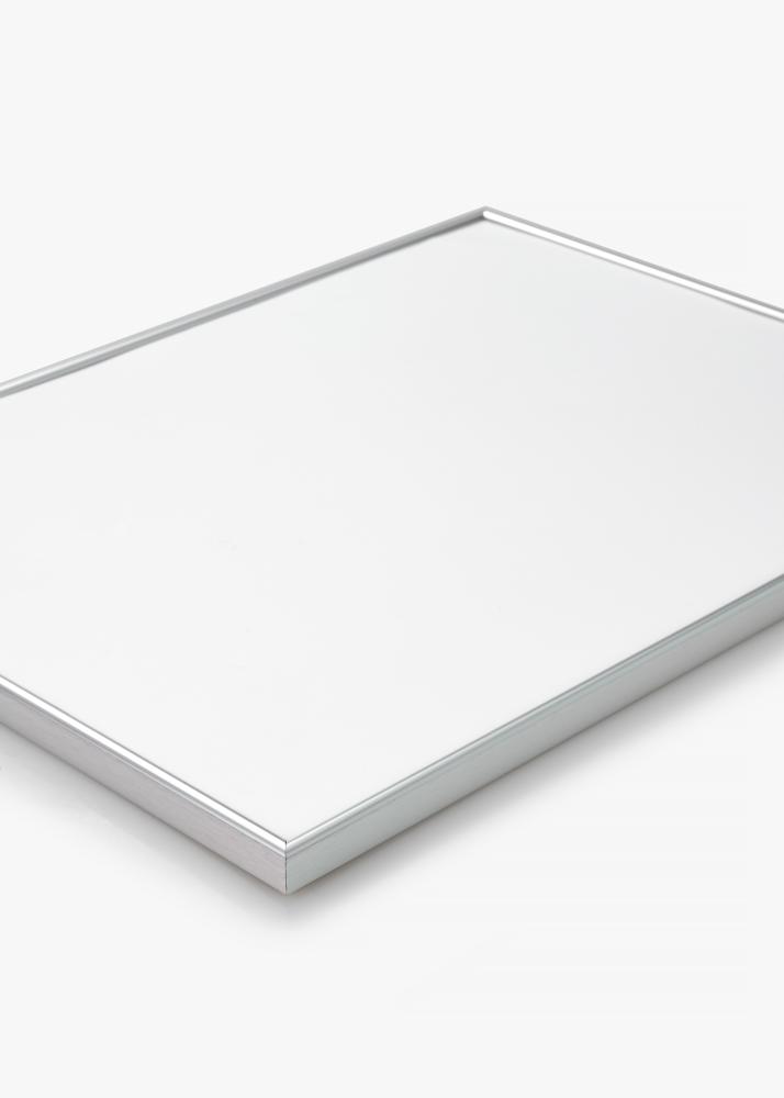 Rám Can-Can Strieborná 40x60 cm