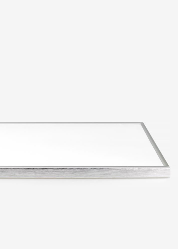 Rám Can-Can Strieborná 40x60 cm