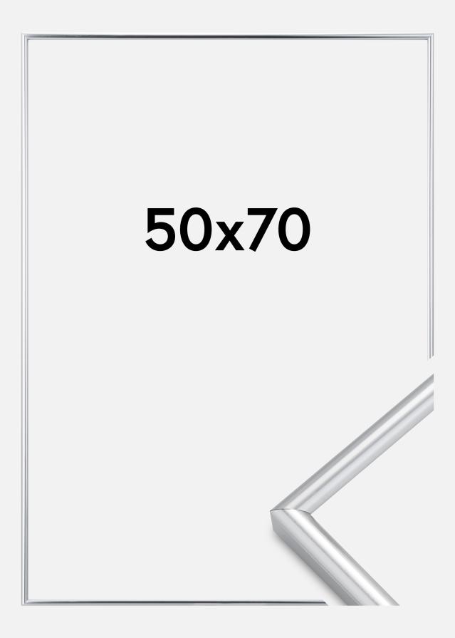 Rám Galeria Strieborná 50x70 cm
