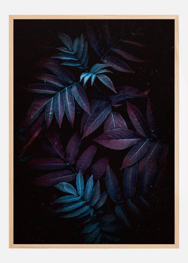 Autum Leaves Plagát