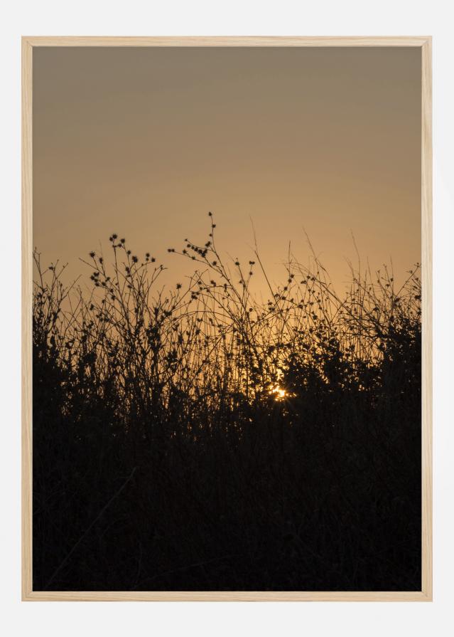 Sneak Peak On Sun Plagát