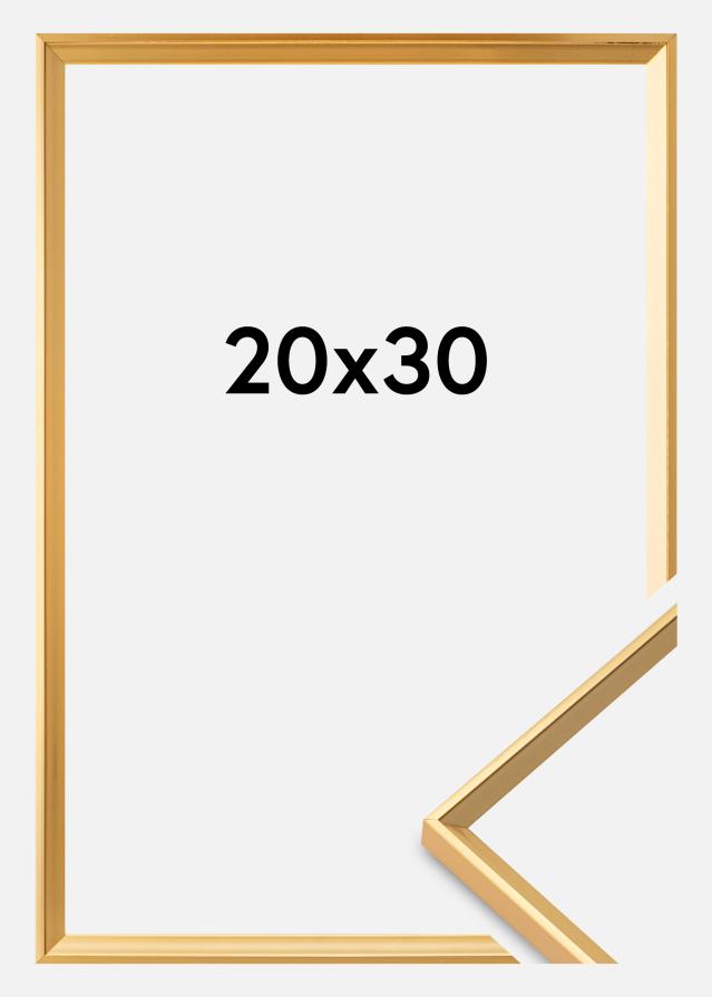 Rám Desire Akrylové sklo Zlatá 20x30 cm