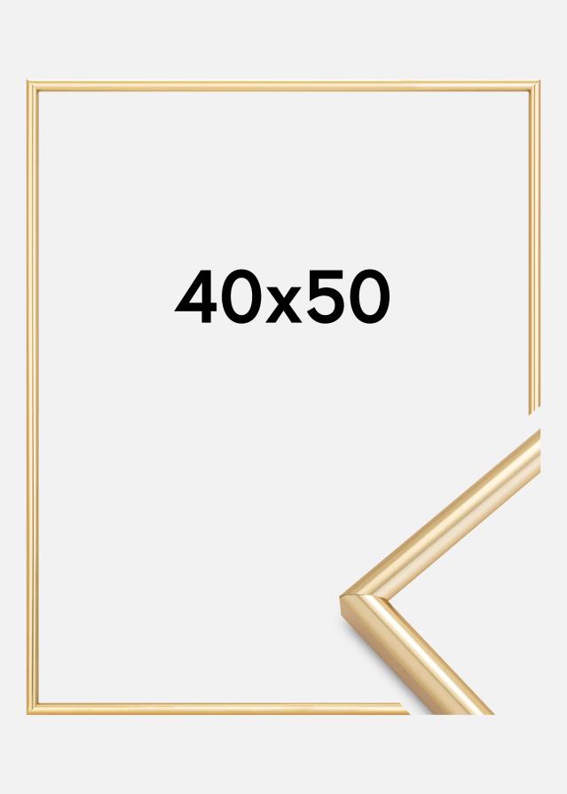 Rám Galeria Zlatá 40x50 cm