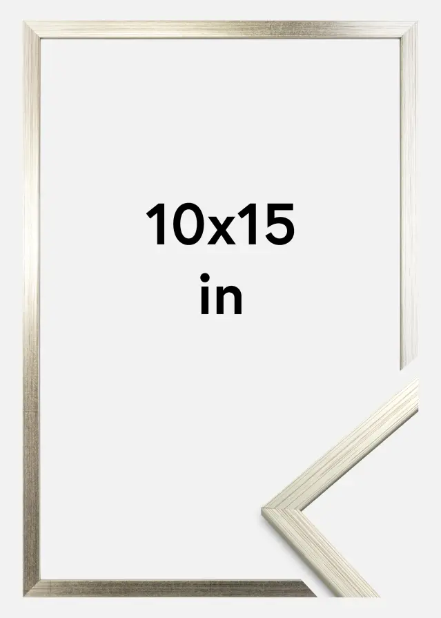 Rám Edsbyn Strieborná 10x15 inches (25,4x38,1 cm)