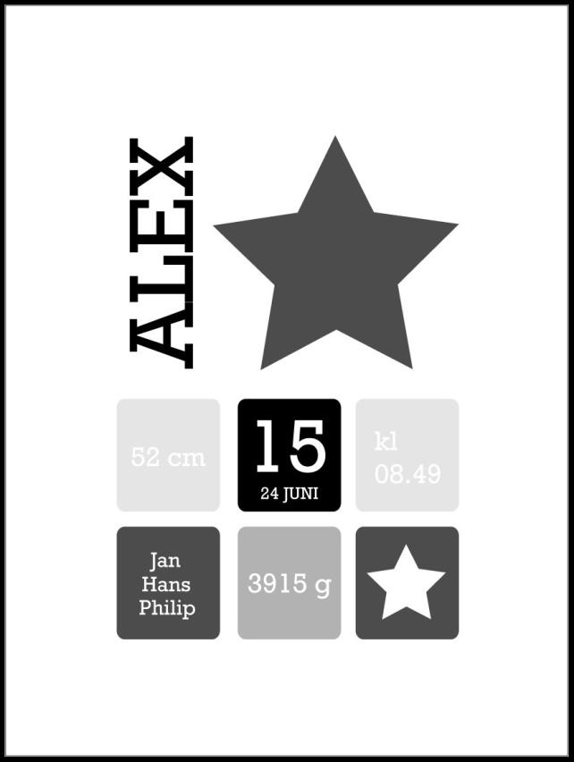 Star Birth Plagát Grey