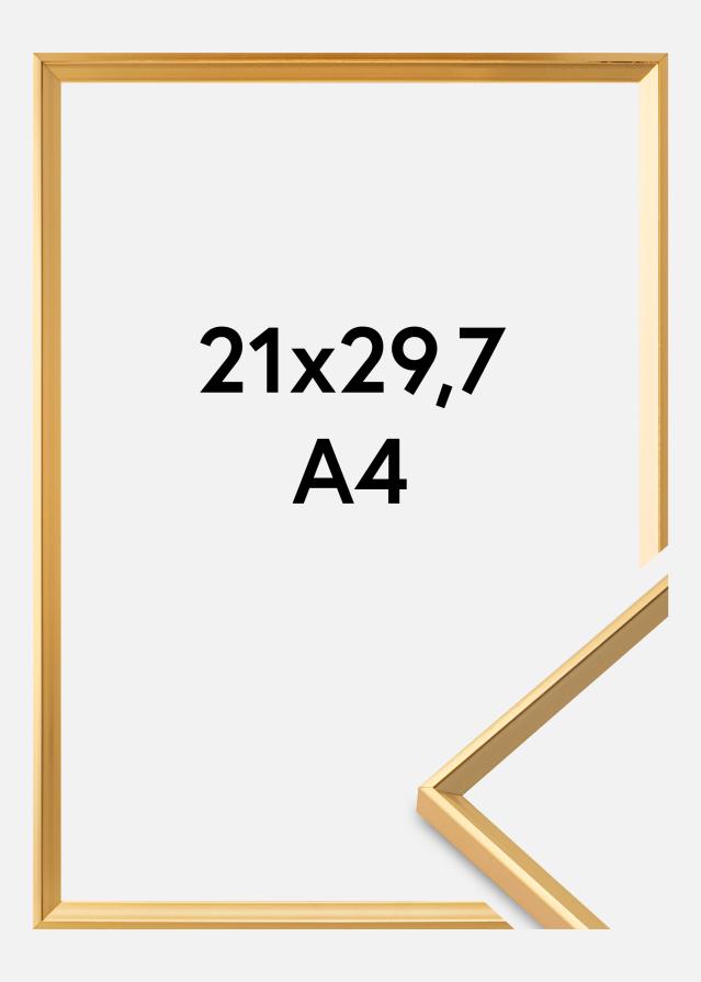Rám Desire Zlatá 21x29,7 cm (A4)