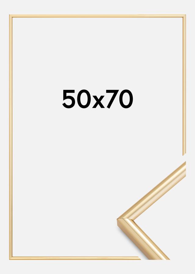 Rám Galeria Zlatá 50x70 cm