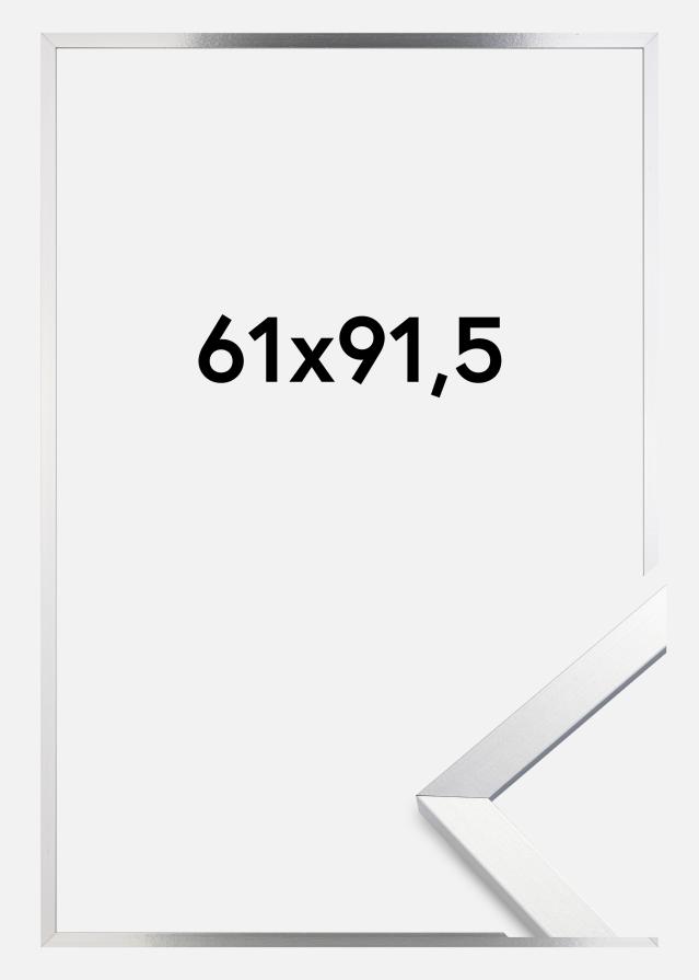 Rám Trendy Akrylové sklo Strieborná 61x91,5 cm