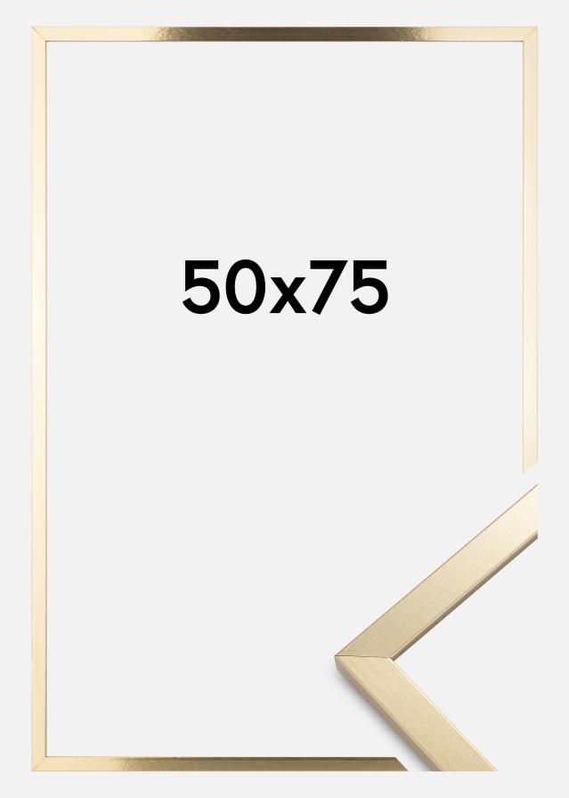 Rám Trendy Akrylové sklo Zlatá 50x75 cm