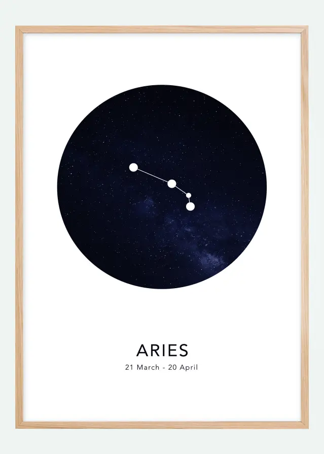 Aries Plagát