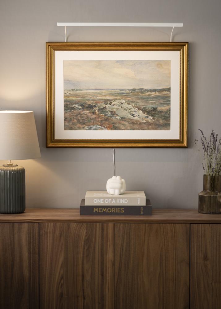 BLP 117 obrazové svietidlá 65 cm - Biela