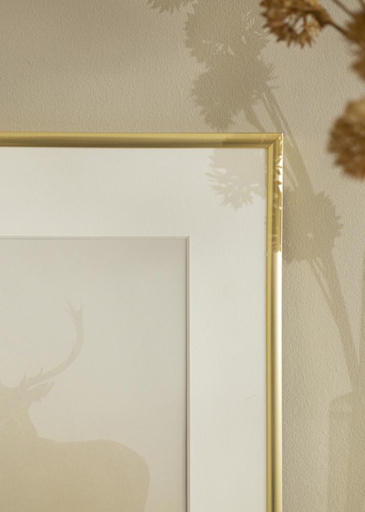 Rám New Lifestyle Akrylové sklo Zlatá 29,7x42 cm (A3)