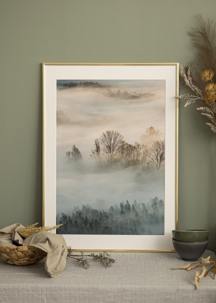 Rám New Lifestyle Akrylové sklo Zlatá 29,7x42 cm (A3)