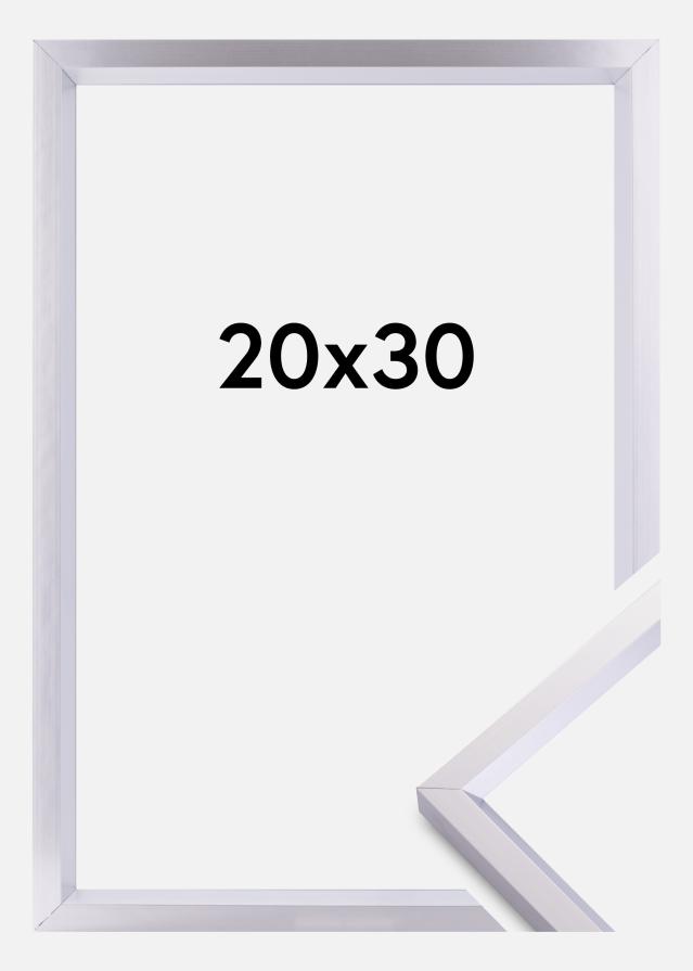 Rám Steel Style Strieborná 20x30 cm