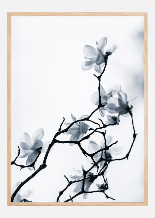 The White Queen Plagát