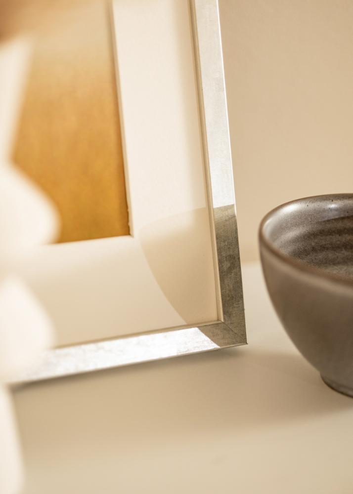 Rám Ares Akrylové sklo Strieborná 20x30 cm