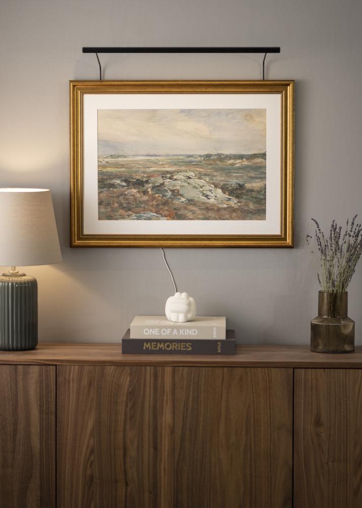 BLP 117 obrazové svietidlá 65 cm - Cierna