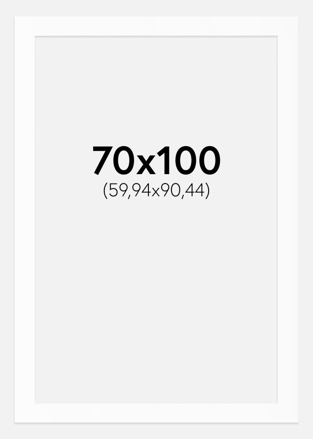 Pasparta Biela Štandardný Biely stred 70x100 cm (59,94x90,44)