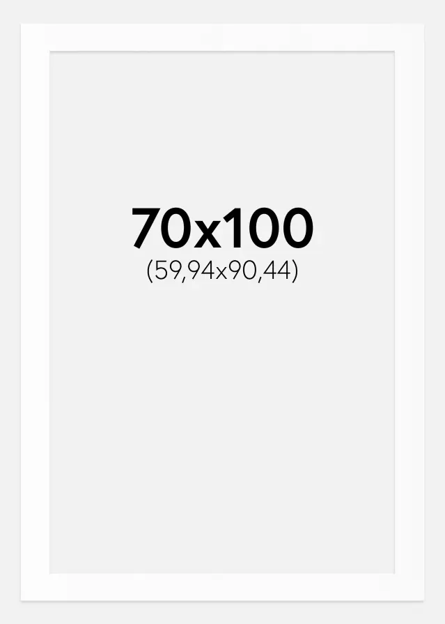 Pasparta Canson Biela Biely stred 70x100 cm (59,94x90,44)