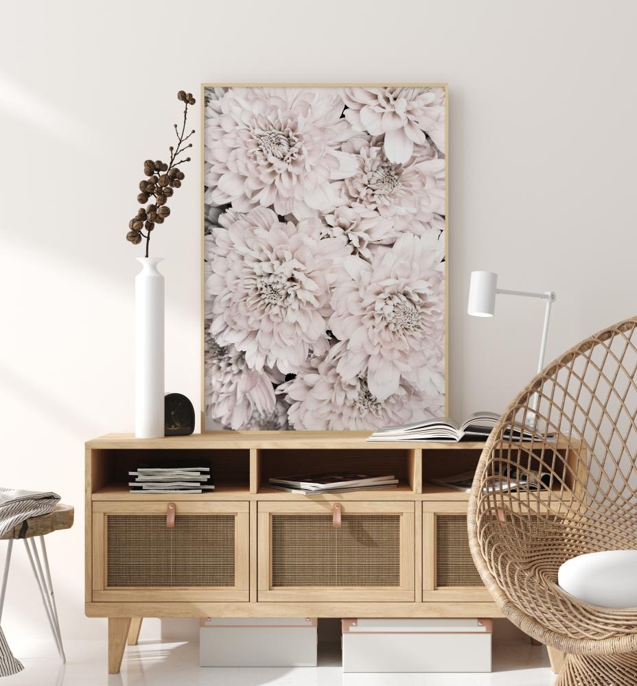 Chrysanthemum II Plagát