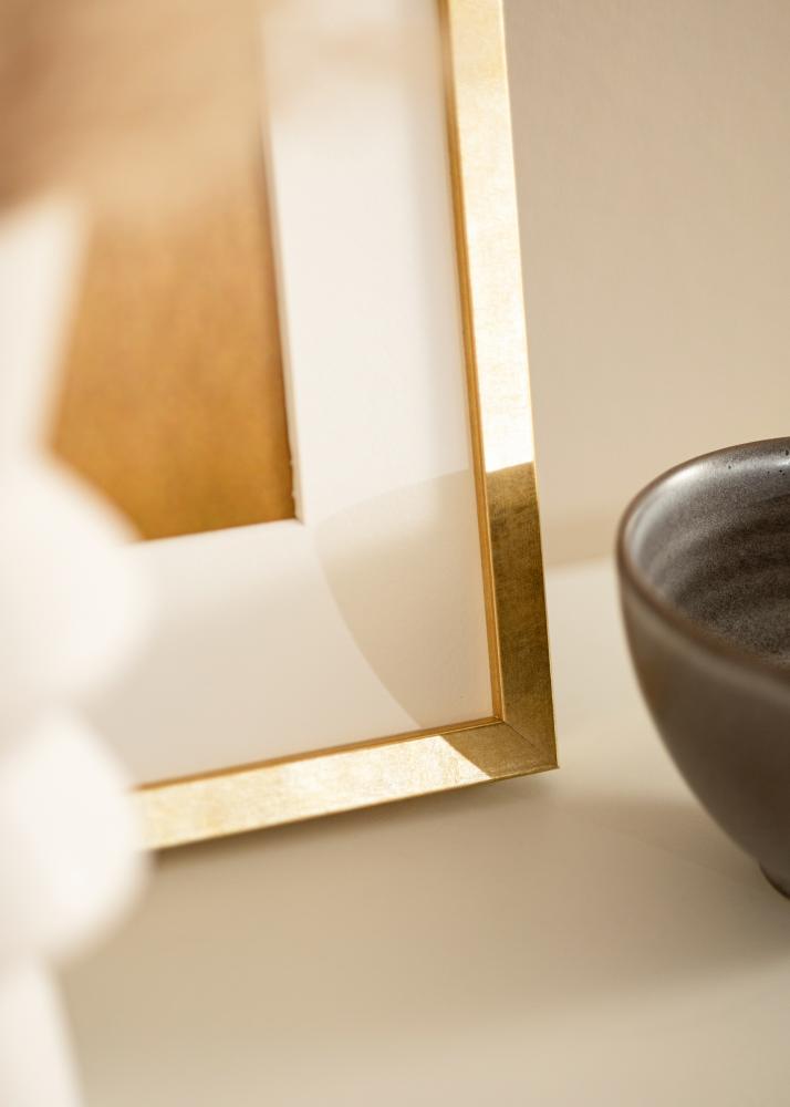 Rám Ares Akrylové sklo Zlatá 50x60 cm