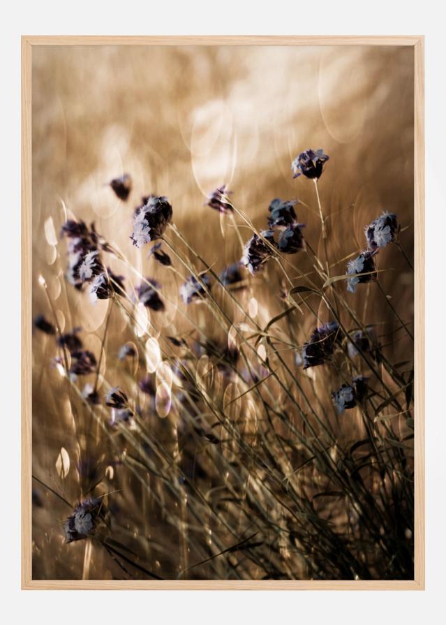 To Be Free In Light Plagát