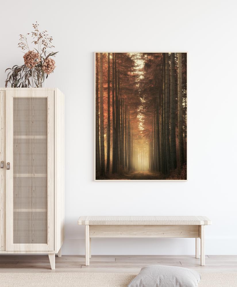 Light Burning Plagát