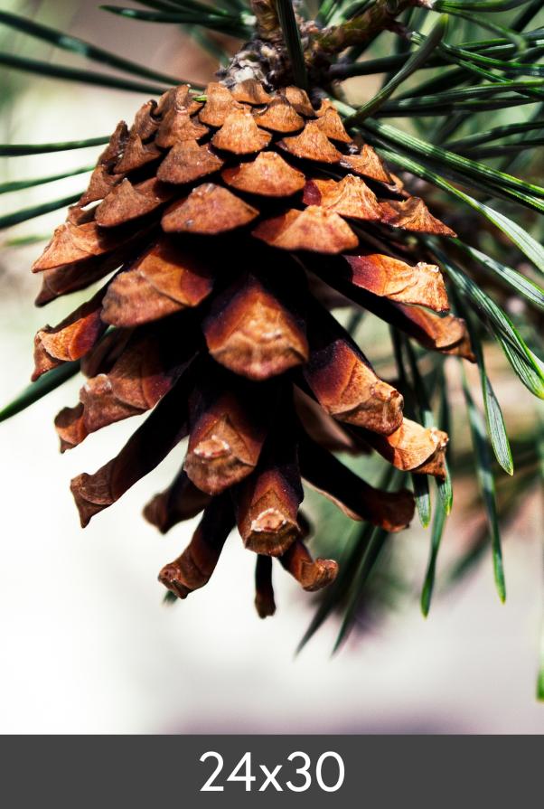 Zväcšenie FineArt Bamboo 290 g