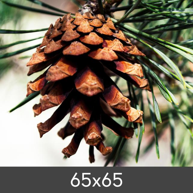 Zväcšenie FineArt Bamboo 290 g