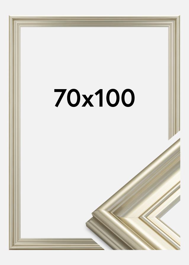 Rám Mora Prémium Strieborná 70x100 cm