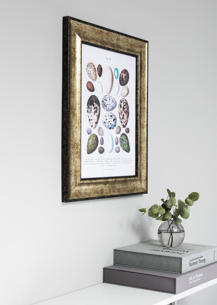 Rám Saltsjöbaden Antická zlatá 40x60 cm - Pasparta Cierna 32,9x48,3 cm (A3+)