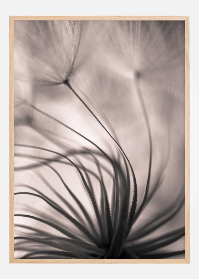 Faded Blurry Flower Plagát