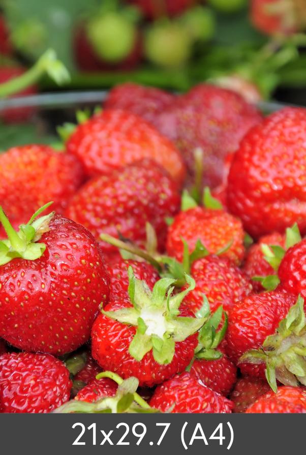 Zväcšenie Štandardný Photo Glossy 290 g