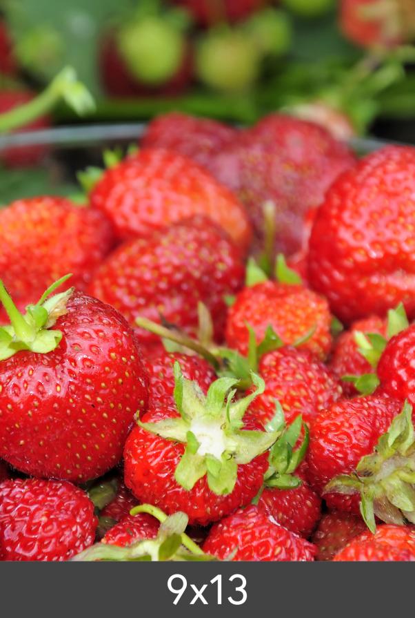 Zväcšenie Štandardný Photo Glossy 290 g