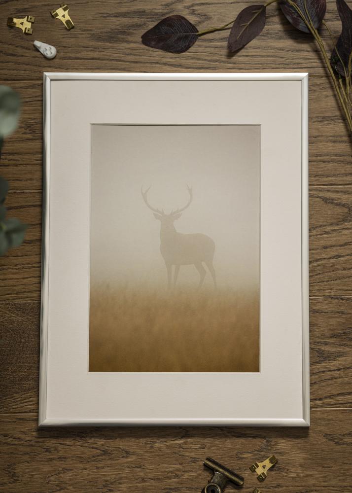 Rám Plagát Frame Aluminum Strieborná 21x29,7 cm (A4)